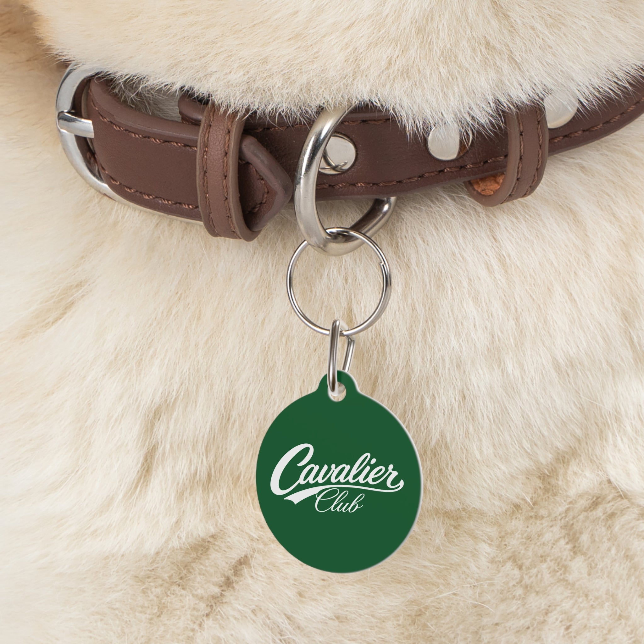 Logo Pet Tag